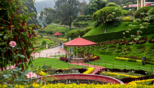 ooty